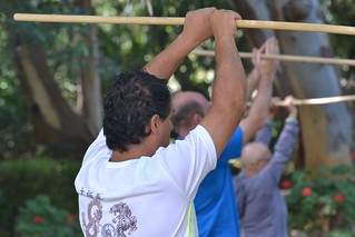 Neuer Kurs: Qigong mit dem Fitness-Stab